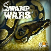 Swamp Wars