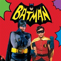 Batman: The Complete Series