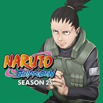 naruto shippuden dual audio season 13 taka