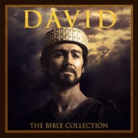 david books bible