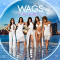 WAGS: Miami will document the extravagant lifestyles and