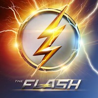 The Flash (2014) (Subtitled)